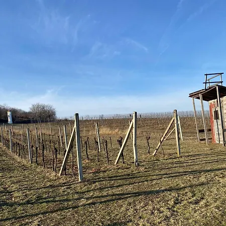 Pod Palavskymi Vrchy شقة