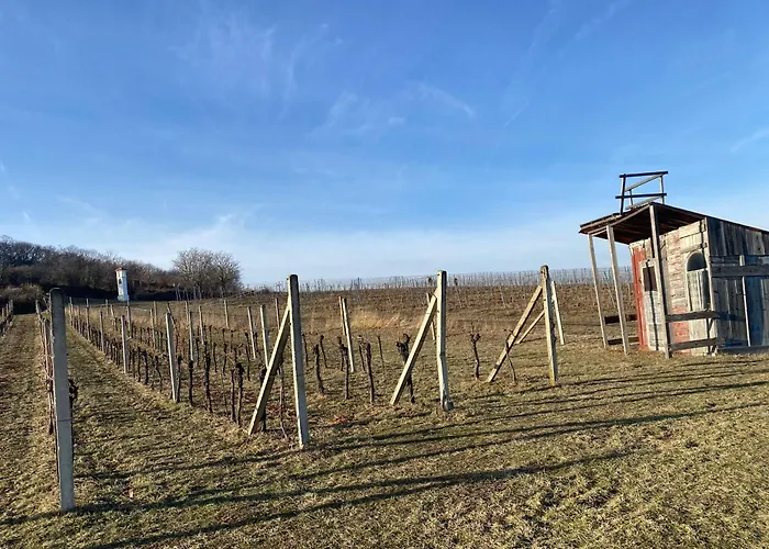 Pod Palavskymi Vrchy Lägenhet
